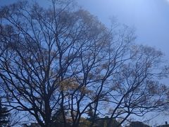 -云南师范大学(一二一西南联大校区)