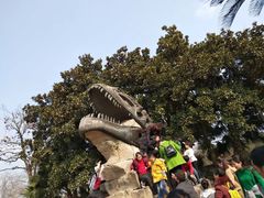 -自贡恐龙博物馆