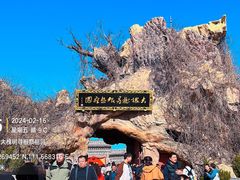 -大槐树寻根祭祖园