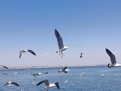 -大连海昌东方水城