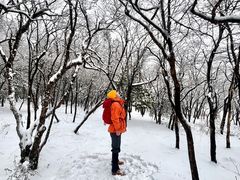 -大围山国家森林公园