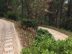-仙岳公园