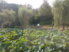 -上海市龙华烈士陵园