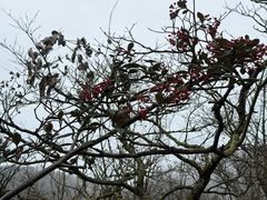 -山王坪喀斯特国家生态公园