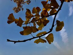 -白鹭湾湿地公园