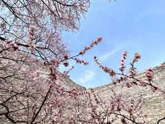 -北京明城墙遗址公园