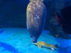 -烟台海昌鲸鲨海洋公园