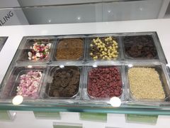 -Salud撒露欧洲冻酸奶(蓝色港湾店)