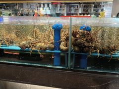 -阿伟海鲜楼·福建菜(延寿店)