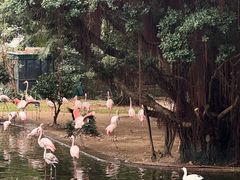 -九龙公园