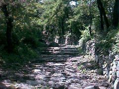 -阳台山自然风景区