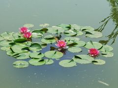 -国家植物园南园