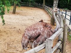 -大连森林动物园