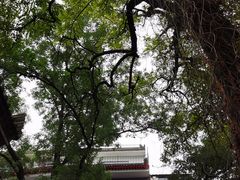 -湘子庙