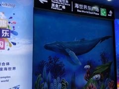 -天山海世界