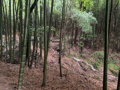 -敬亭山风景名胜区