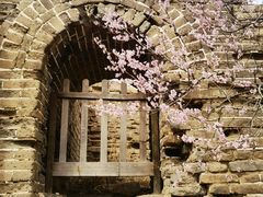 -蟠龙山长城景区