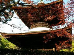 -常寂光寺