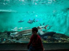 -太平洋海底世界