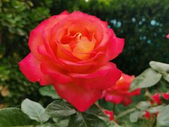 -中国中医科学院望京医院(院本部)