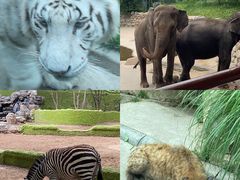 -北京野生动物园