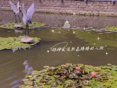 -中山公园