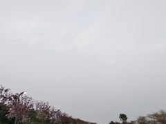-彩虹沙滩
