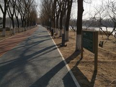 -大兴滨河森林公园