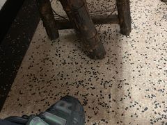 -盛兴面馆(真儒大厦店)