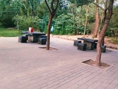 -元大都城垣遗址公园