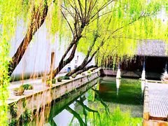 -鲁镇