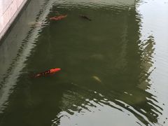-祝家花園(伯渎港店)