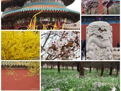 -天坛公园