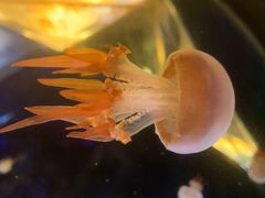 -北海·海洋之窗