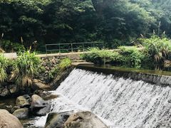 -白云源风景区