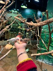 -Zoolung Zoolung动物主题公园(海信广场店)