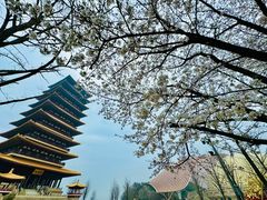 -牛首山文化旅游区