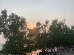 -宝安西湾红树林湿地公园