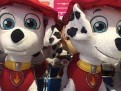 -TOYSRUS玩具反斗城(苏州中心店)