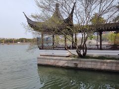 -广富林郊野公园