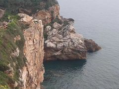 -杨梅坑
