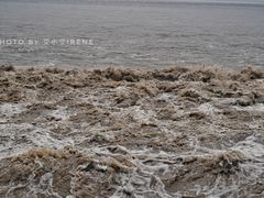 -观潮胜地公园