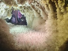 -湖南省地质博物馆