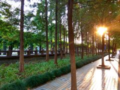 -杭州电子科技大学(下沙校区)