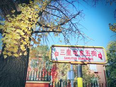 -三里屯东五街银杏大道