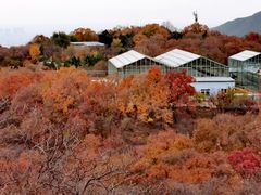 -北京西山国家森林公园