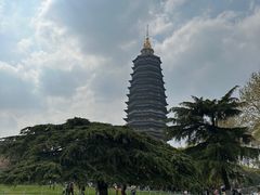 -红梅公园