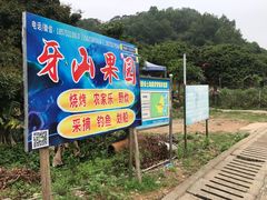 -牙山果园·烧烤野炊·钓鱼团建·烤全羊