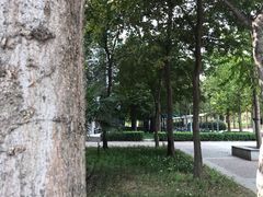 -河南财经政法大学(郑东校区)