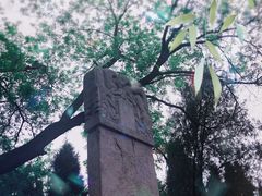 -赵州桥景区